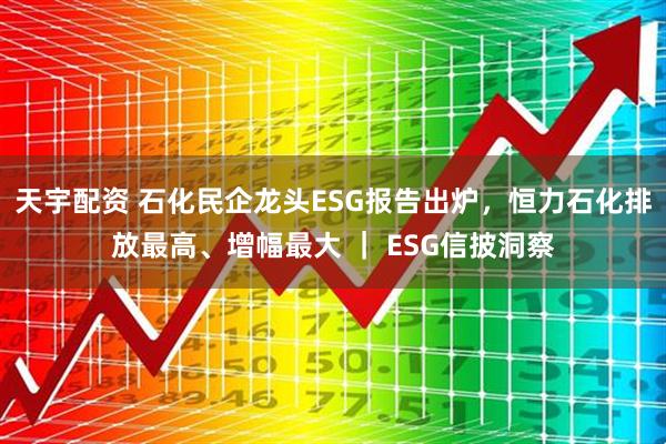 天宇配资 石化民企龙头ESG报告出炉，恒力石化排放最高、增幅最大 ｜ ESG信披洞察