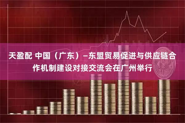 天盈配 中国（广东）—东盟贸易促进与供应链合作机制建设对接交流会在广州举行