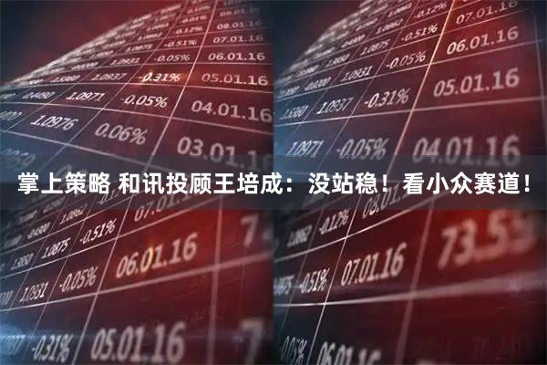 掌上策略 和讯投顾王培成：没站稳！看小众赛道！