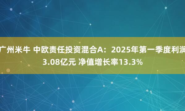 广州米牛 中欧责任投资混合A：2025年第一季度利润3.08亿元 净值增长率13.3%