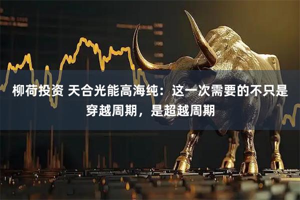 柳荷投资 天合光能高海纯：这一次需要的不只是穿越周期，是超越周期