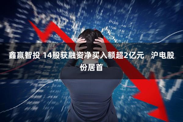 鑫赢智投 14股获融资净买入额超2亿元 沪电股份居首