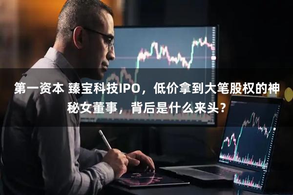 第一资本 臻宝科技IPO，低价拿到大笔股权的神秘女董事，背后是什么来头？